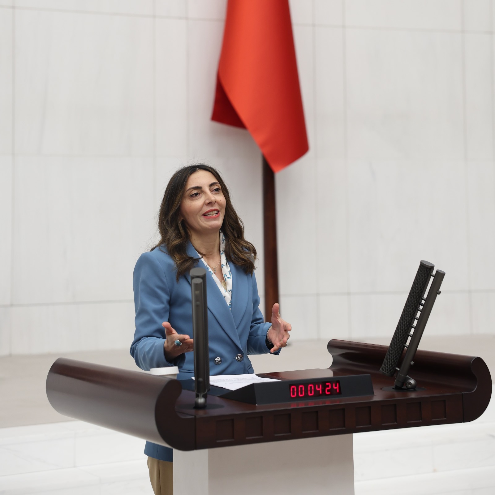 CHP'li Nurhayat Altaca Kayışoğlu TBMM'de Gündeme Taşıdı: Yurt Dışındaki Vatandaşların Ehliyet Mağduriyeti Giderilsin